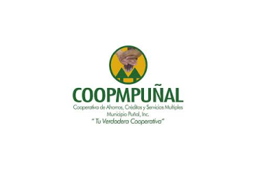 Coorporativa de Ahorros, Créditos y Servicios Multiples Puñal, Inc ...